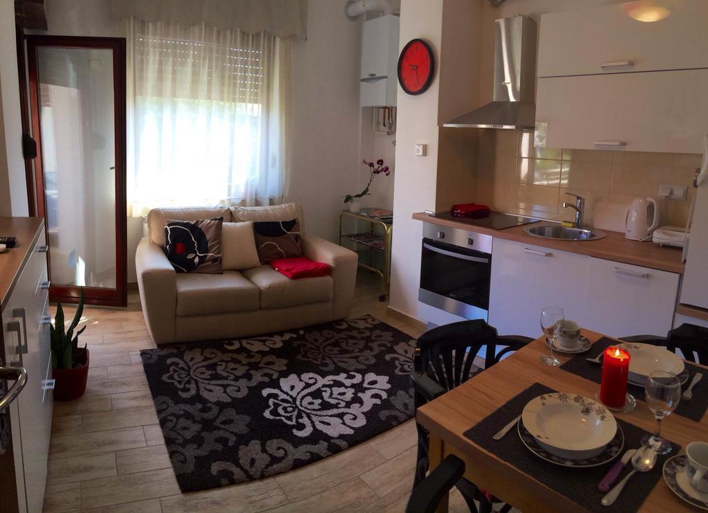 Apartments Ziher Ζάγκρεμπ Δωμάτιο φωτογραφία